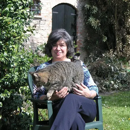 Bed & Breakfast Chez Vivi