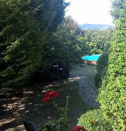 Chez Vivi *